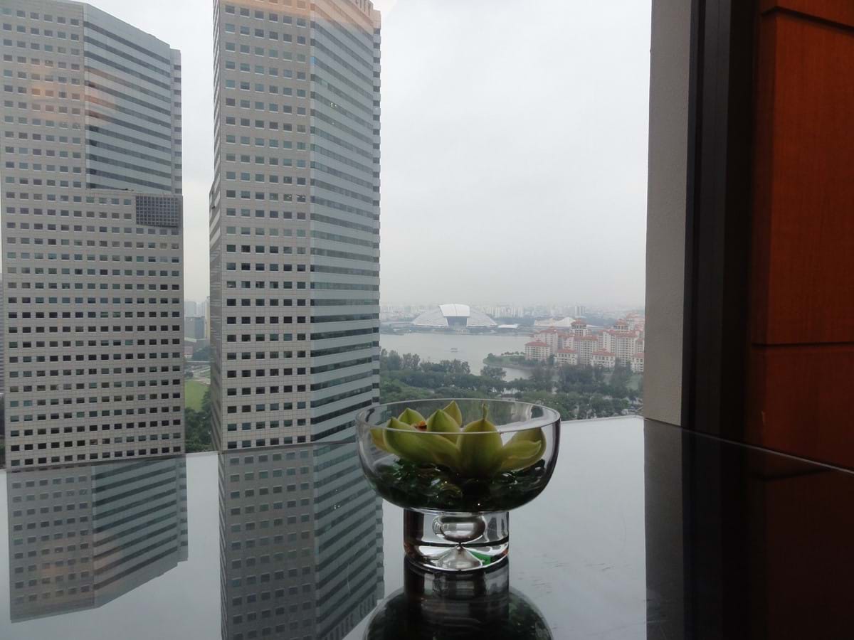 Singapore View With Orchids